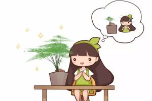 現(xiàn)在種上這些花，蹭蹭長，一天一個(gè)樣