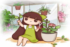 100%成活的扦插法，花花只告訴你！