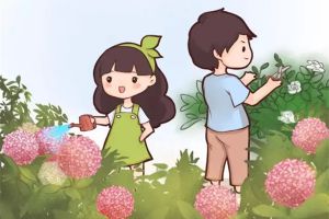 如果我有一個(gè)小院子，一定要種上這些花，每天都有花賞