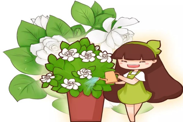 這花一根枝就活，澆水就瘋長，葉綠花大香氣四溢！