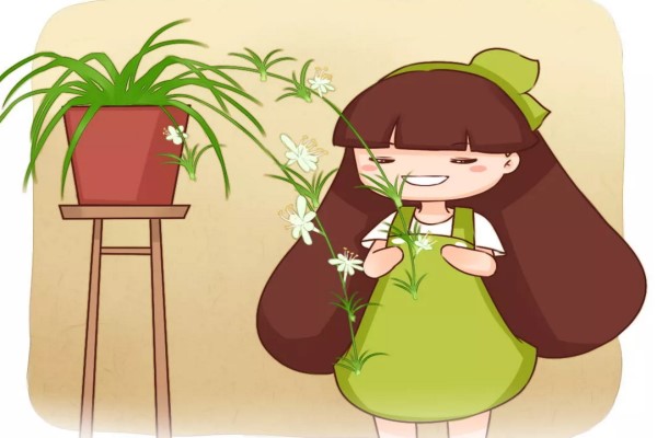 盆里加點(diǎn)它，花像吃了激素，蹭蹭狂長爆盆！