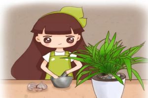 調味料用來養(yǎng)花，生根爆盆分分鐘的事兒！