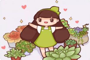 一見多肉誤終生，從此錢包全掏空！