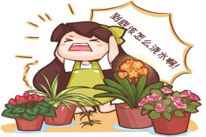 澆水時(shí)多做1件事，花嗖嗖瘋長，葉子綠油油！