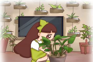 盆邊戳個洞，埋點它，花猛躥狂長，葉子綠得滴油！