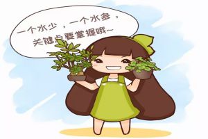記住1句話，這10種花想養(yǎng)死都難！
