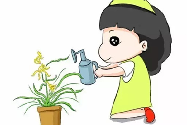 新手必看！養(yǎng)蘭花的4大禁忌，不知道就虧大了