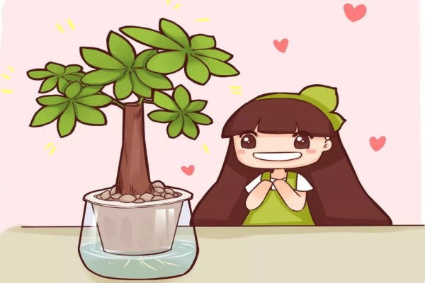 君子蘭發(fā)財樹…隨手扔水里，突然長瘋了！