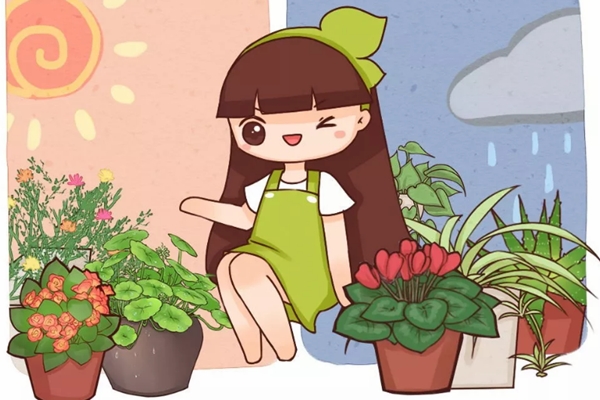 這花掐個枝就能活，還能泡茶喝，美容又明目！