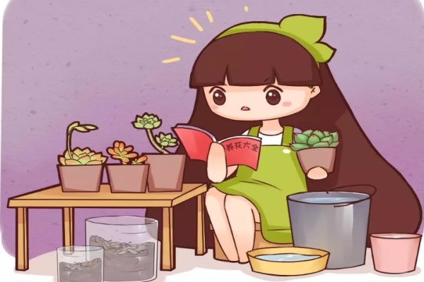 初春養(yǎng)花牢記這5點(diǎn)，否則養(yǎng)1盆死1盆！