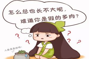多肉盆里撒點它，蹭蹭蹭長爆盆！