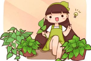 花快死了也別扔，教你一招，2個月后又爆盆！