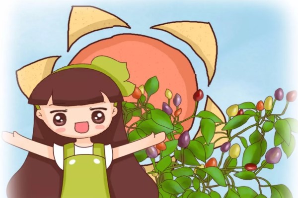 陽(yáng)臺(tái)種五彩椒，熊孩子以為是櫻桃，竟然給偷走了！
