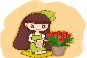 她用1斤油，把君子蘭養(yǎng)成“大白菜”，葉子長瘋了！