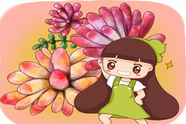 給多肉換盆，犯了這9個錯誤，立馬死翹翹！