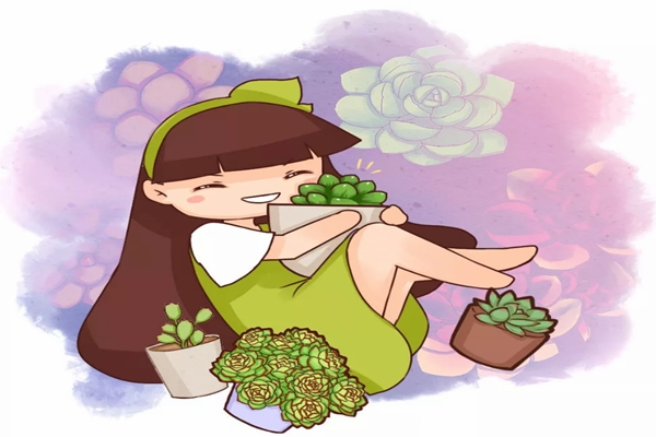 塑料瓶扣多肉上，竟然越長(zhǎng)越水靈，10天蹭蹭爆盆！