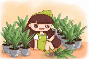 1把刀1個(gè)盆，君子蘭蘆薈…1盆變10盆，家里多到養(yǎng)不下！