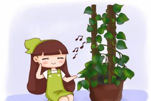 她只用3根木棍，花10天將綠蘿養(yǎng)成了瀑布，咋做的？