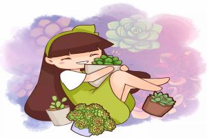 塑料瓶扣多肉上，竟然越長越水靈，10天蹭蹭爆盆！