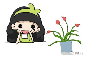 冬天種上幾株球根植物，過年就有花賞了