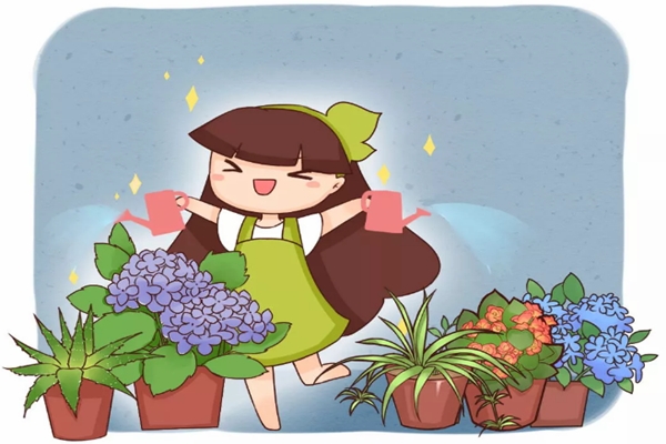 過(guò)年回老家，1個(gè)月不澆水，家里的花竟然長(zhǎng)瘋了！