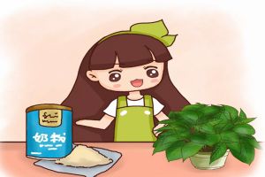 過期東西先別扔，稍微一處理，讓家里的花蹭蹭長(zhǎng)！