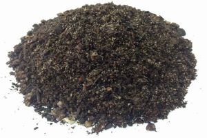 養(yǎng)花就用這種土，不花錢，還肥的流油，養(yǎng)花蹭蹭長！
