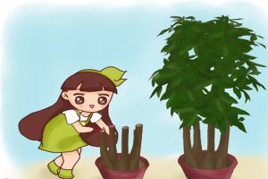 黃葉快死的花，滴上兩滴蠟，新芽呼呼冒！