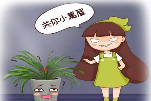 君子蘭年年夾箭，關小黑屋、澆點酒，花箭竟5天鉆出來！