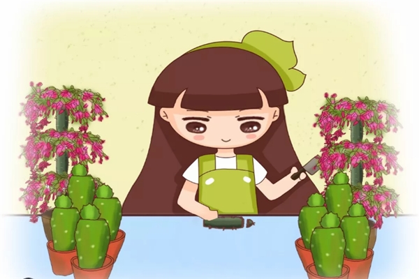 咔嚓1刀，綠蘿君子蘭…1盆變10盆，3個月就開花！