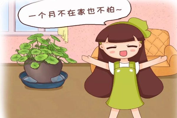 趕緊學(xué)會(huì)！傳承50年的養(yǎng)花絕招，即將失傳！