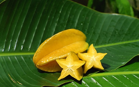 楊桃果實(shí)