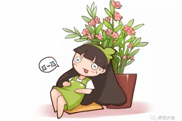 花卉怎么換盆？這樣換開(kāi)花都能壓斷枝了！