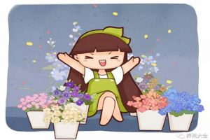秋天什么花開花？這些花最容易爆盆！
