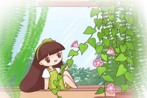 植物窗簾怎么種出來(lái)？這樣做一個(gè)月搞定！
