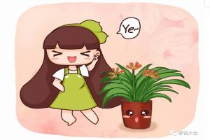 只需3招，蟹爪蘭君子蘭越長越旺，花朵咕嚕嚕冒不停！