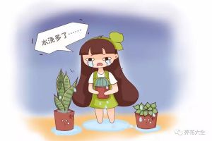 這20種花越旱越好養(yǎng)，水一多就死！