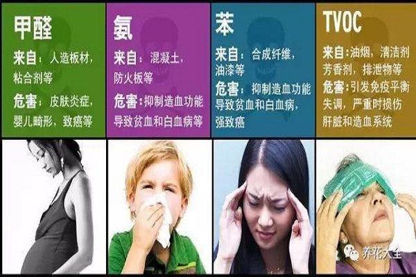 24種花專除室內(nèi)污染，多活10年不是事兒！