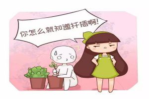 君子蘭吊蘭長小芽，直接摘下來就能活！