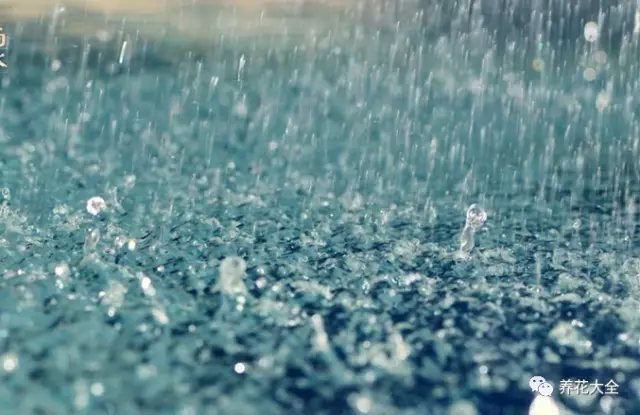 雨水