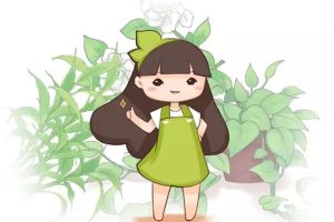 養(yǎng)花10年不黃葉，只是因為做了這個