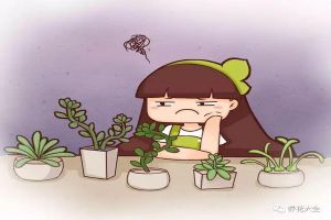 花老躥個(gè)不開花，教你4招，分分鐘美回來！