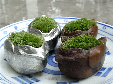 環(huán)境過(guò)于干燥，空氣濕度不夠