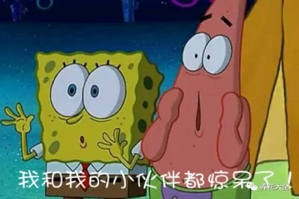 讓天竺葵、矮牽牛、三角梅開滿懷的訣竅，一學(xué)就會