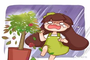 家里的花總是黃葉，表姐只用1招就解決了！