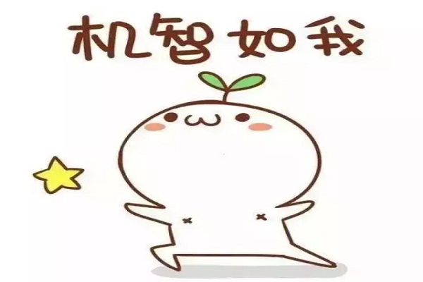 5㎡的陽臺(tái)，也能變成小菜園，想吃啥菜都有！