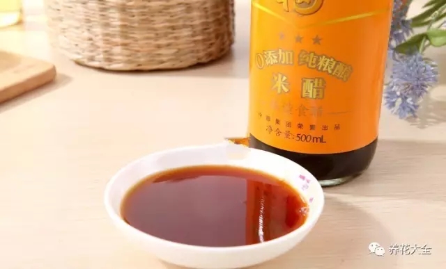 1、想要讓長(zhǎng)壽花的根系長(zhǎng)得越來(lái)越多，可以加點(diǎn)自制生根劑。將米醋和清水按照1:100的比例，兌成米醋水溶液。