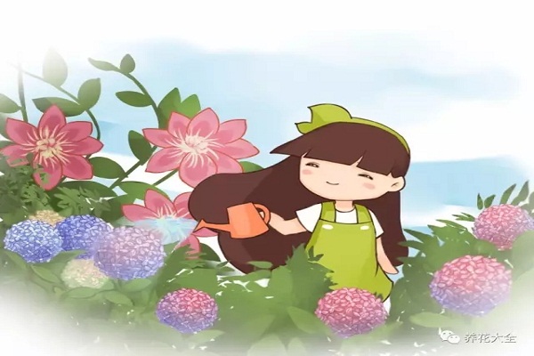 葉面噴點(diǎn)兒這個，再也不用施肥了！