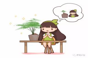 辦公桌上就得養(yǎng)這8種花！其他的一養(yǎng)一個死！