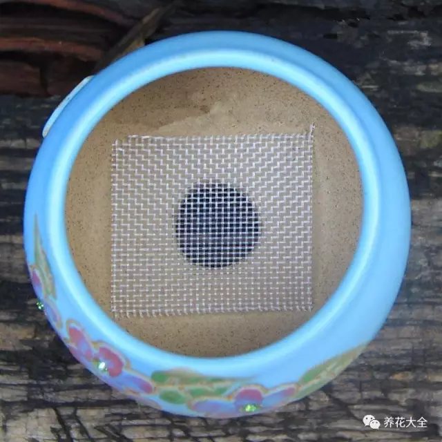 4、把篩好的大顆粒煤炭渣墊在花盆底部，上面覆蓋土壤，然后種植花草即可。
